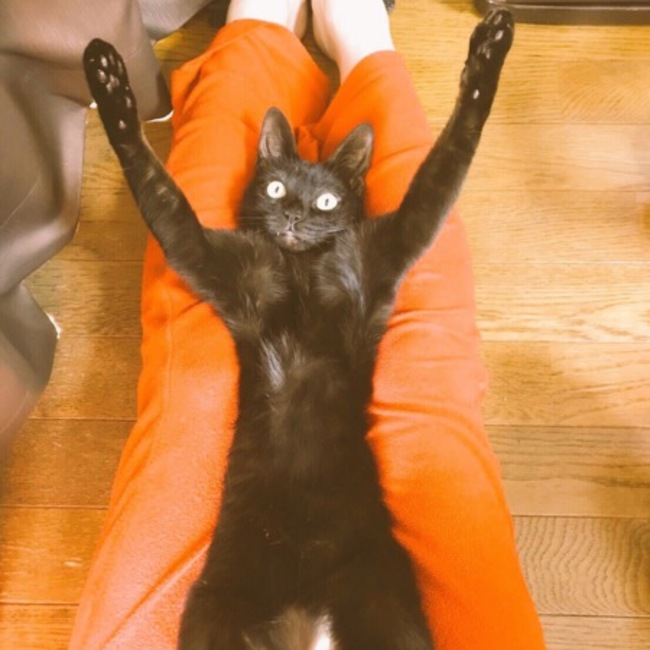 はるろったのカバー写真