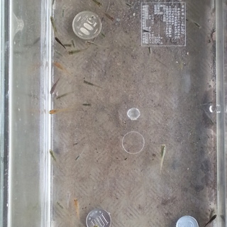 素敵な里親様との出会いに感謝！