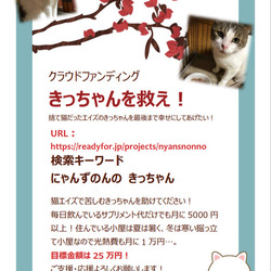 きっちゃんを助けてください！