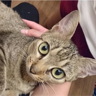 懐こく優しい「ピアちゃん」♡