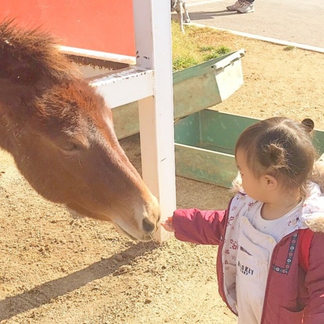 ▹▸﻿こきんちゃんのカバー写真