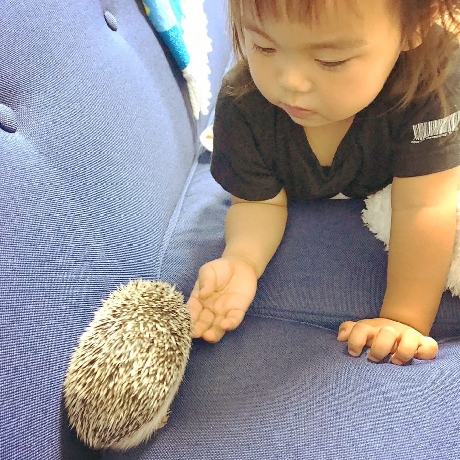 諭吉(2代目)のカバー写真