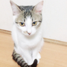 あむう