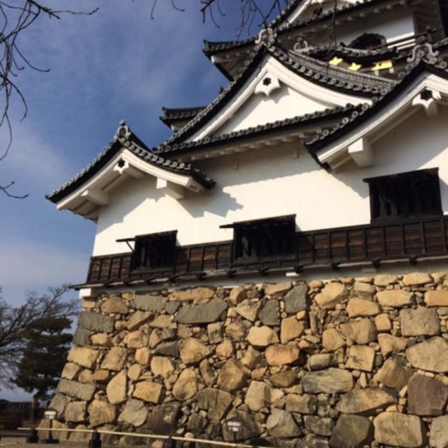 shin05のカバー写真