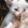 まるちゃん、身体は一番小さかったね