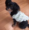 ありがとうございました(^ ^)