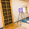 部屋の改装中なのです！2匹の遊び場が広がるのです！