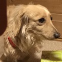 交渉中