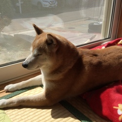 なんだかなあ～