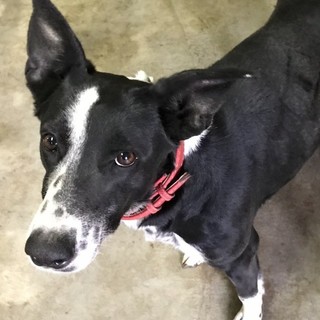 家族になってください☆