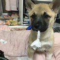 助けて下さい