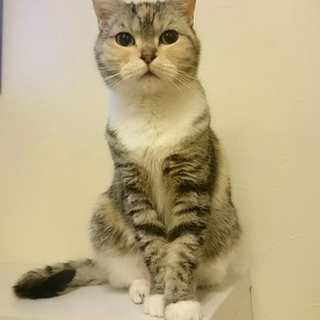 3/25　馬喰町会場☆愛夢ちゃん