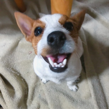 の写真