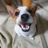 の写真