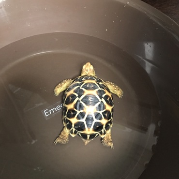 温浴気持ち良さそう♪