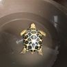 温浴気持ち良さそう♪