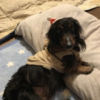 ERNIE