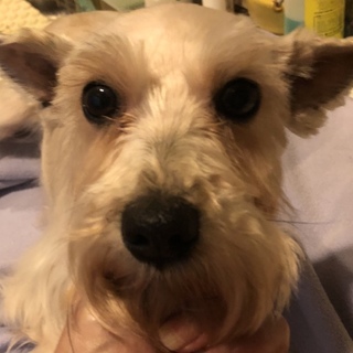 活発で人の事が大好きな女の子♪