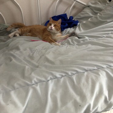 ソラくんの写真