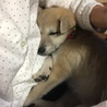 抱っこしてもらうとすぐ眠くなっちゃう