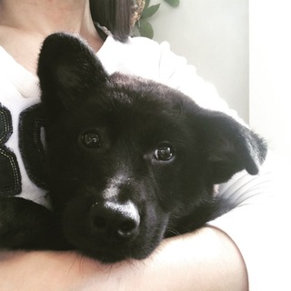 好奇心旺盛、明るくて元気いっぱい★ブレイク