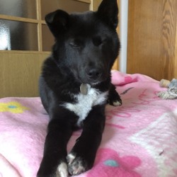 「大寿日記7」サムネイル2