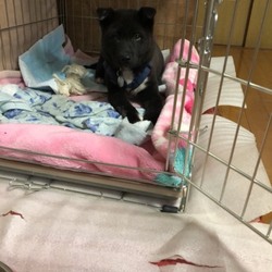 「大寿日記7」サムネイル3