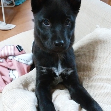 クロードの写真