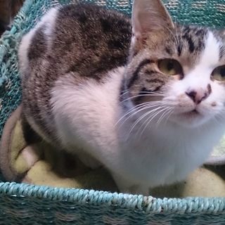 優しい マンナちゃん