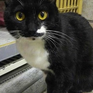 一進一退で元気になりました！