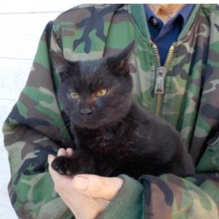 カラスに襲われたところを兄弟で助けられました