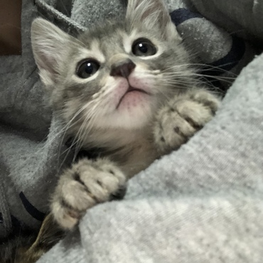 の写真