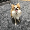はな