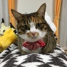 まりん
