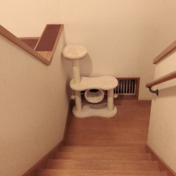 「踏み台」サムネイル1