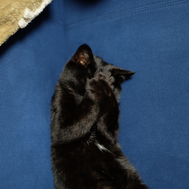 eric-hwiのカバー写真