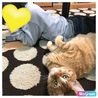 の写真