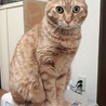 の写真