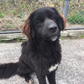 フレンドリーな大きな男の子