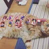 息子と花札をやっていました
