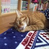 の写真