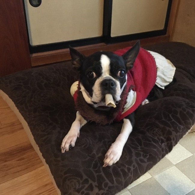 幸•ハピちゃんのママのカバー写真