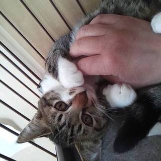 白い靴下とマフラーがお似合いのおしゃれな女の子