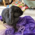 ありがとうございました！