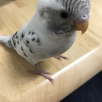 そら