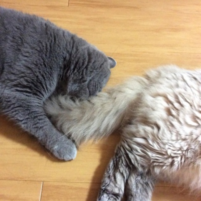 タカハ丸のカバー写真