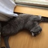 タカハ丸