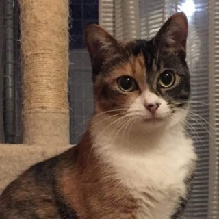 5/13銀座★まりちゃん★おメメのくっきり