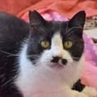 おっとりのんびり癒しのびわちゃん