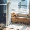 の写真